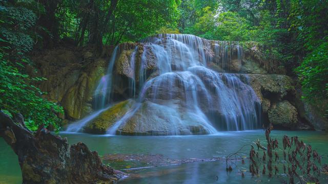“陆”养禾花鱼 “富”收池中物