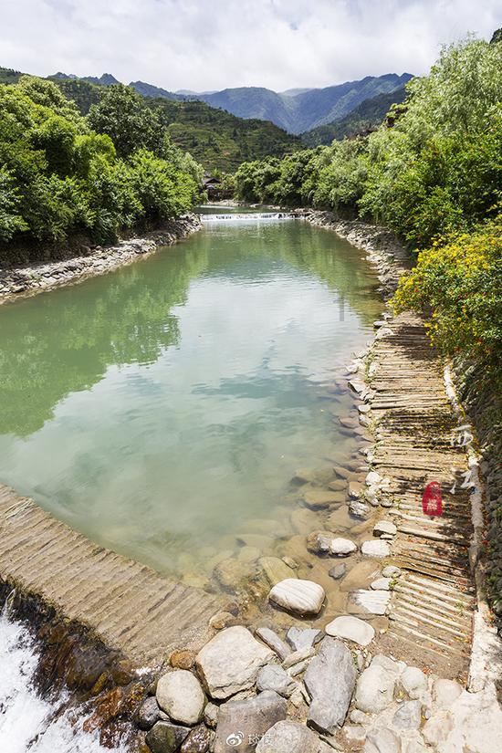 山东:小麦苗情好 粮农底气足